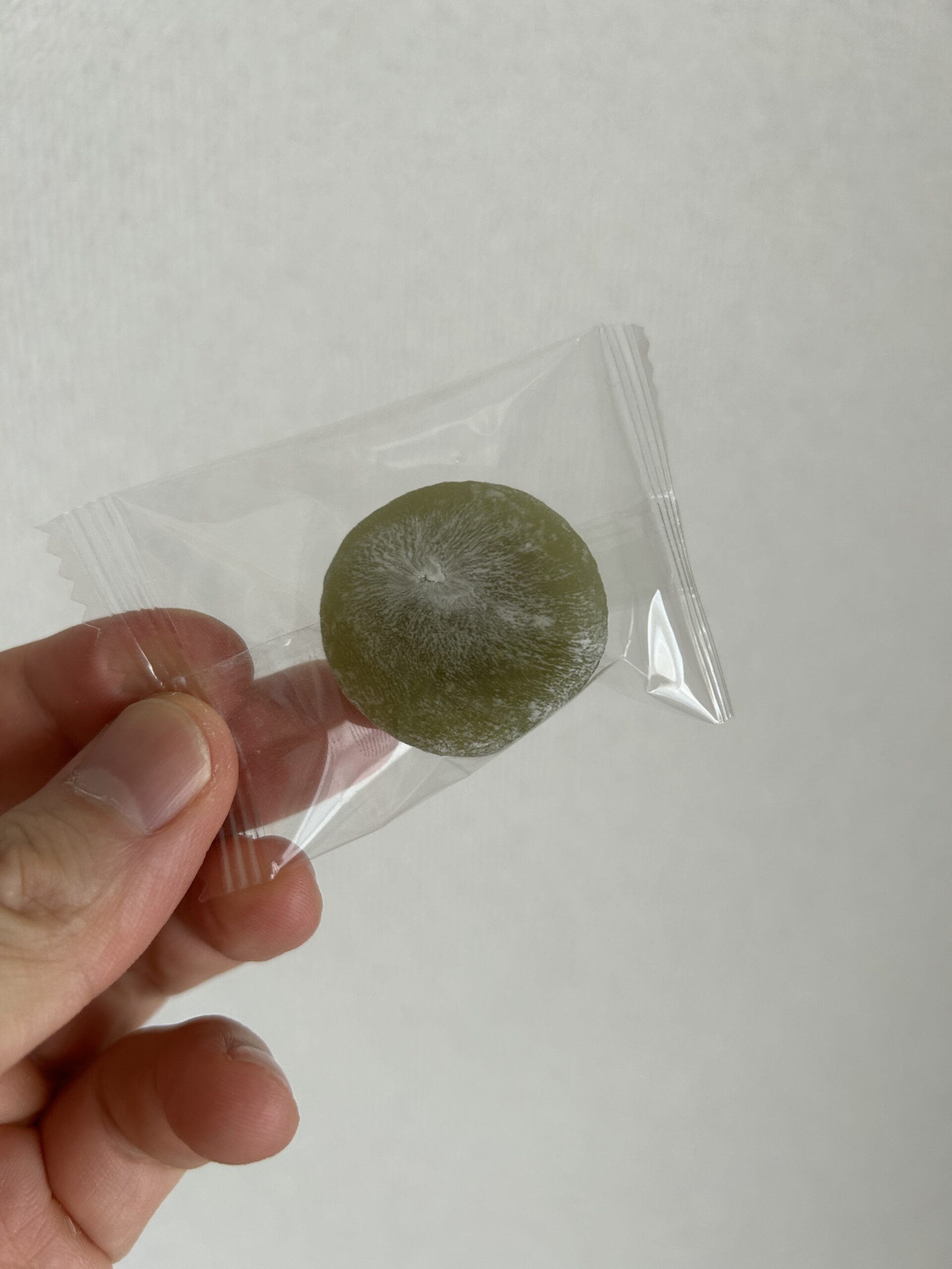 サイズ感を比較（500円硬貨と）