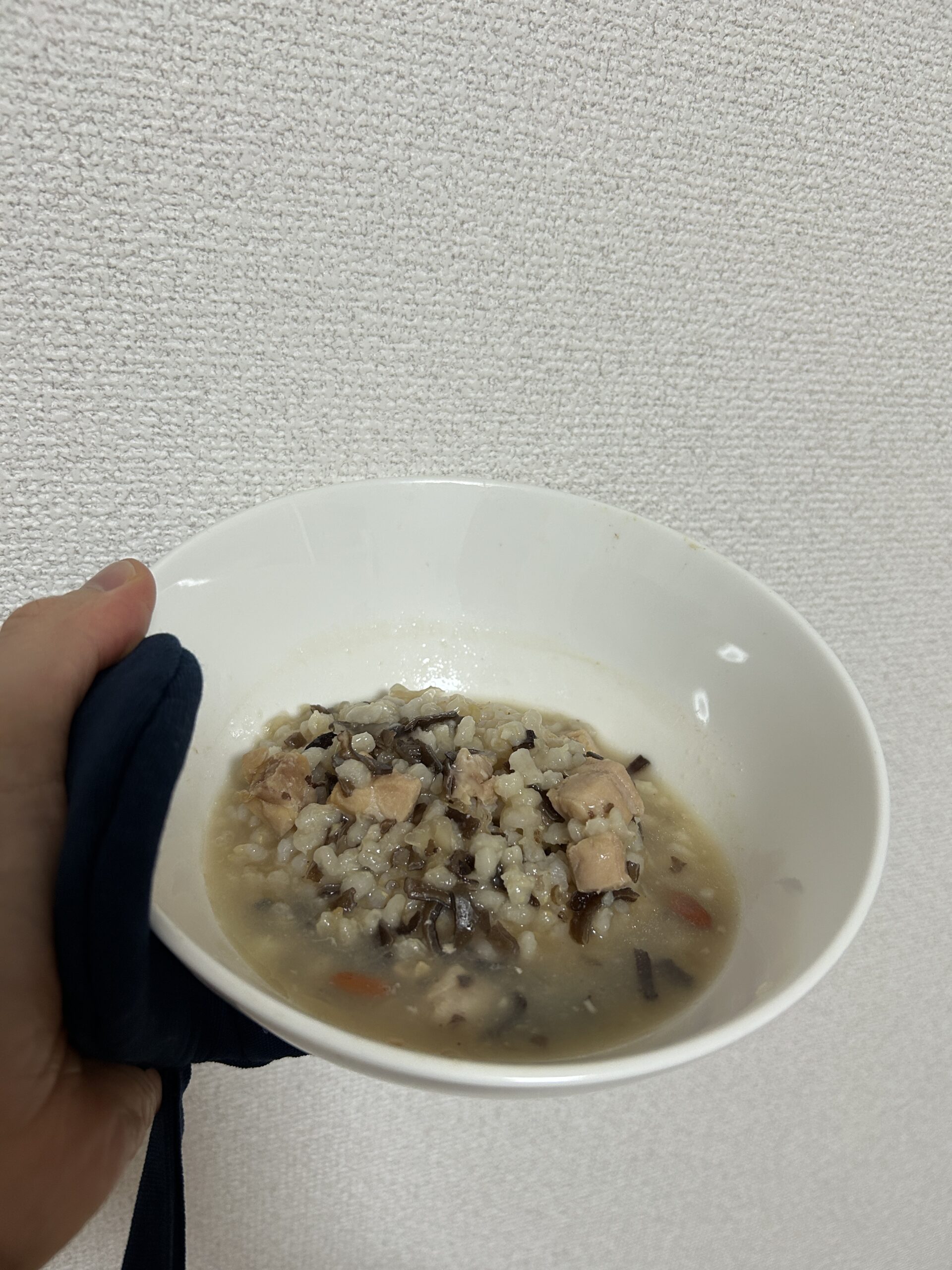 ご飯にかけた完成写真